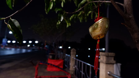 After the Chinese New Year, hang on the tree at night.