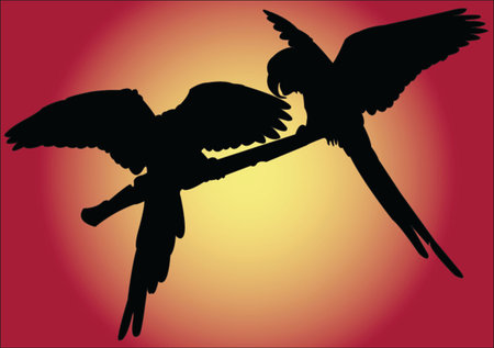 parrot with background - vectorのイラスト素材