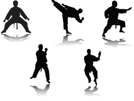  karate player with shadow - vectorのイラスト素材