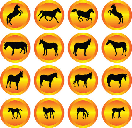 horses collection in buttons - vectorのイラスト素材