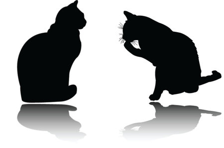 two cat with shadowのイラスト素材
