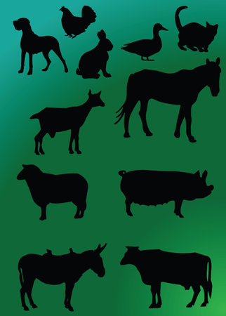 domestics animal with backgroundのイラスト素材