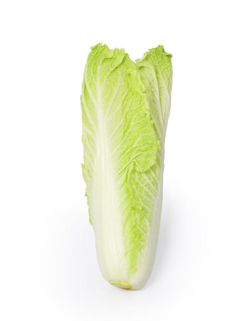 Lettuce on a white background の写真素材
