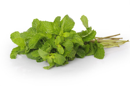 mint 