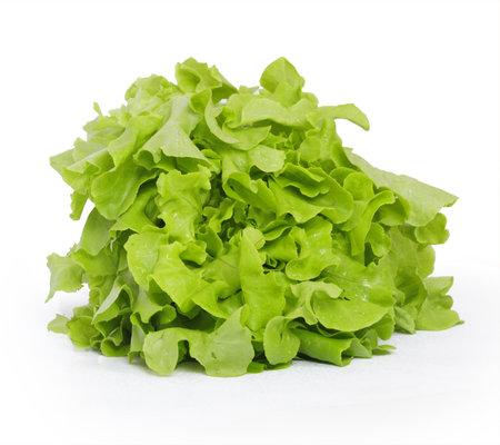 Lettuce on a white background の写真素材