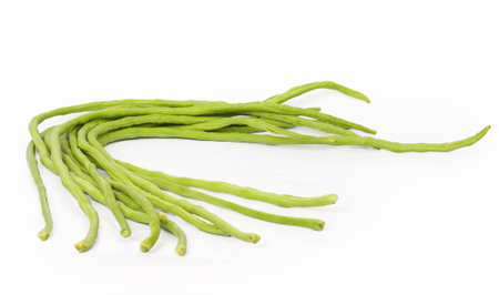 Bean on white background の写真素材