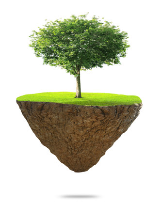 fine island and trees の写真素材