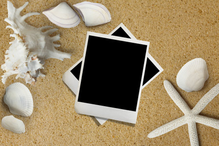 shells with sand の写真素材