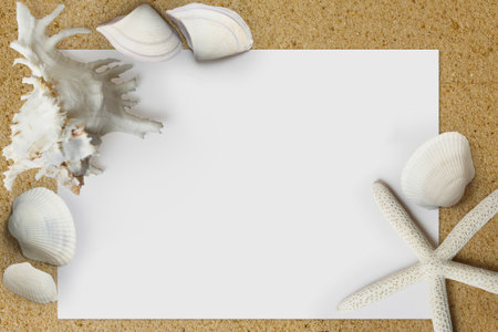 shells with sand and paper 