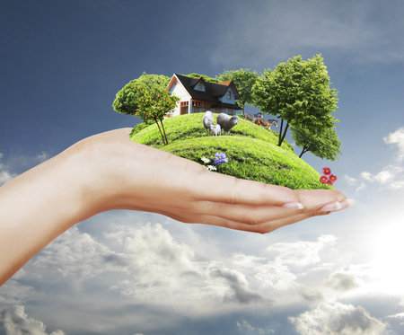 Agriculture in the hand の写真素材
