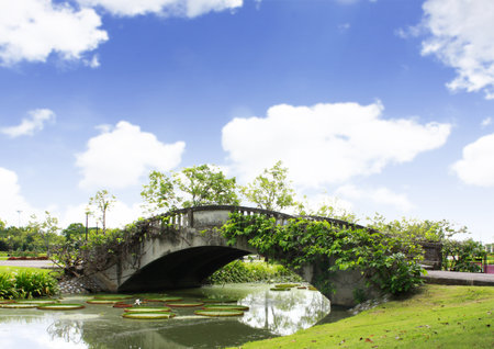 panorama view of Park with skyline の写真素材