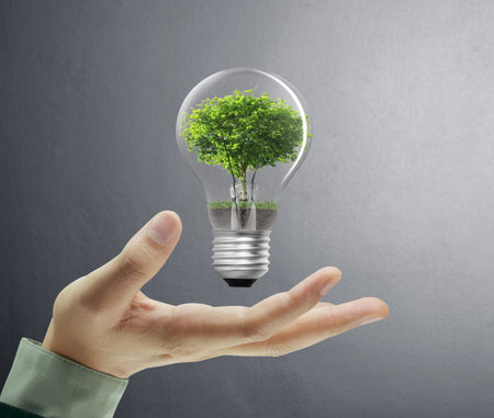 Light bulb, in a hand の写真素材