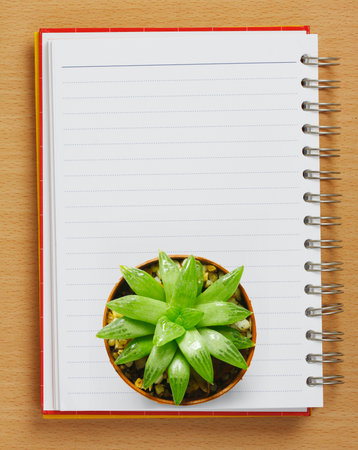 Top view of a Cactus on the Bookletの写真素材