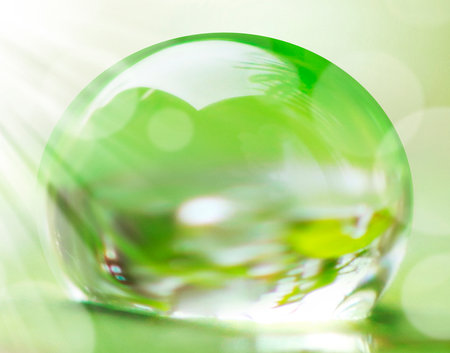 water drop on the leaves の写真素材