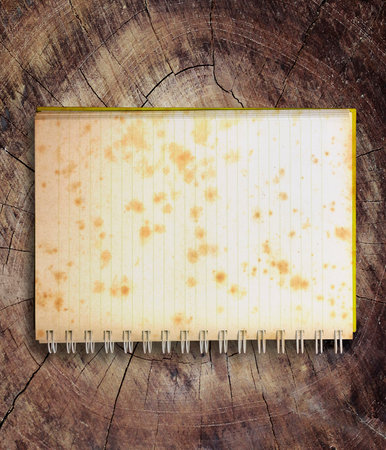 book on a woodの写真素材