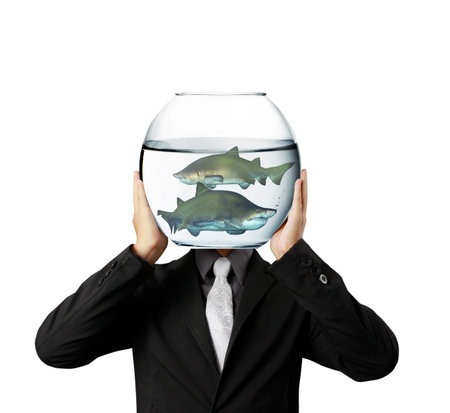 shark in aquarium a handの写真素材