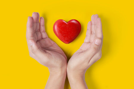 Hands holding a red heart, heart health, and donation conceptsの写真素材