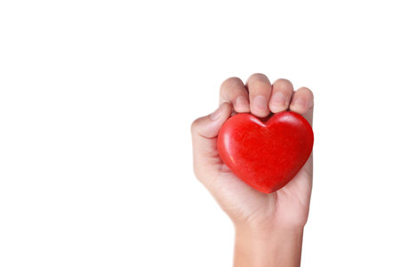 Hands holding a red heart, heart health, and donation conceptsの写真素材