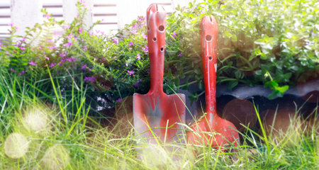 Outdoor gardening tools and flowers Spring Gardening beautiful garden background