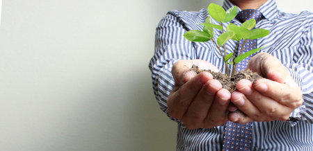 Human hands holding sprout young plant.environment Earth Day In the hands of trees growing seedlingsの写真素材