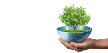 Human hands holding sprout young plant.environment Earth Day In the hands of trees growing seedlingsの写真素材