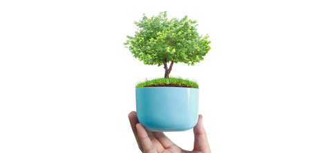 Human hands holding sprout young plant.environment Earth Day In the hands of trees growing seedlings