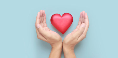 Hands holding a red heart. heart health donation conceptsの写真素材
