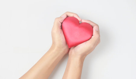 Hands holding a red heart. heart health donation concepts