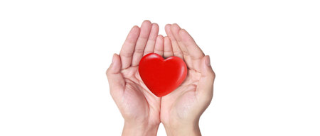 Hands holding  red heart. heart health donation conceptsの写真素材
