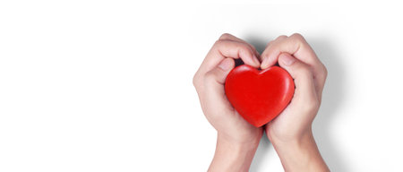 Hands holding  red heart. heart health donation conceptsの写真素材