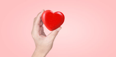 Hands holding  red heart. heart health donation conceptsの写真素材