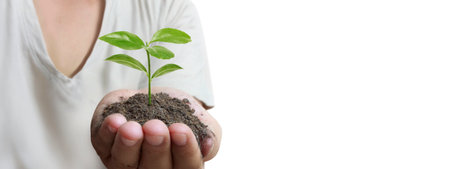 Hand plant trees for sustainability, plantingの写真素材