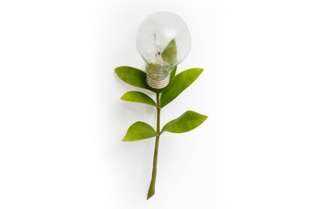 Ideas a Light bulbの写真素材