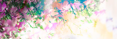 Beautiful spring flowers on blurred background, closeup. Banner design