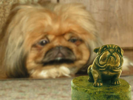 Dog and statuetteの写真素材