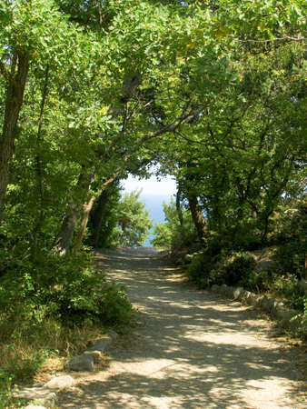 sun on pathway to seeの写真素材