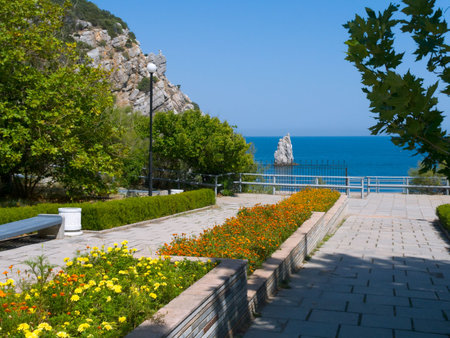 Trees, rock, pathway to seaの写真素材