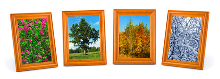 Four seasons (my photos) isolated on white background