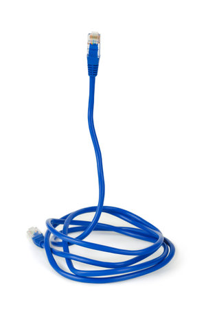 Computer cable like a snike - internet security concept, isolated on white background