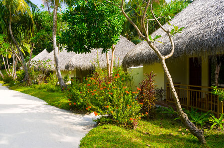Bungalows in jungles - sand way, flowers and treesの写真素材
