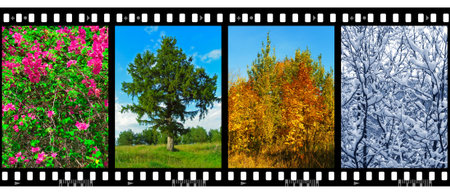 Nature seasons in film frames (my photos) isolated on white backgroundの写真素材