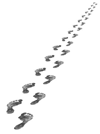 Footprints isolated on whine backgroundの写真素材