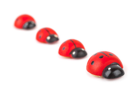 Toy ladybirds isolated on white backgroundの写真素材