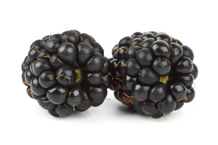 Blackberry isolated on white backgroundの写真素材
