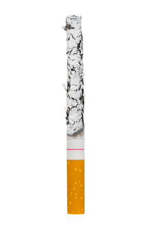 Macro of cigarette isolated on white backgroundの写真素材