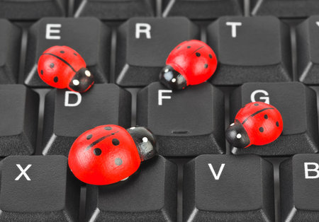 Toy ladybirds on computer keyboard - concept technology backgroundの写真素材
