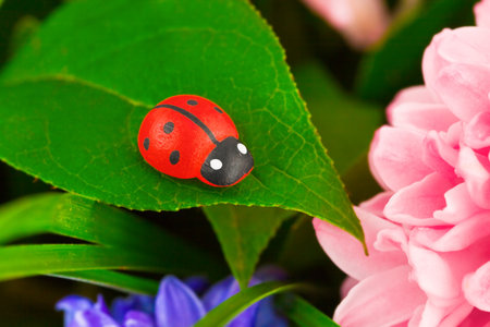 Toy ladybug and flowers - abstract nature backgroundの写真素材