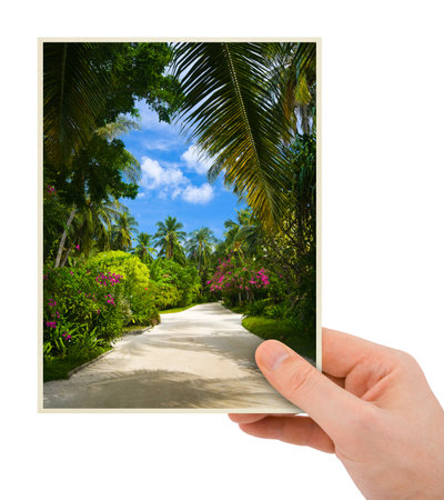 Photography in hand (my photo) isolated on white backgroundの写真素材