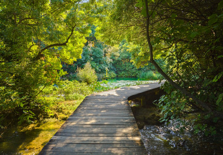 Pathway in KRKA park at Croatia - travel backgroundの写真素材
