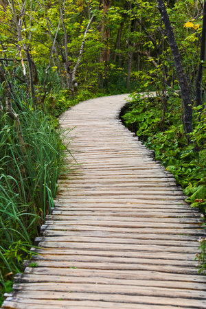 Pathway in Plitvice lakes park at Croatia - travel backgroundの写真素材